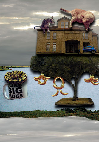 A surrealistic collage of photography that I've personally taken. Showcasing cats, clouds, a house in a tree, and a snake inside a mug.