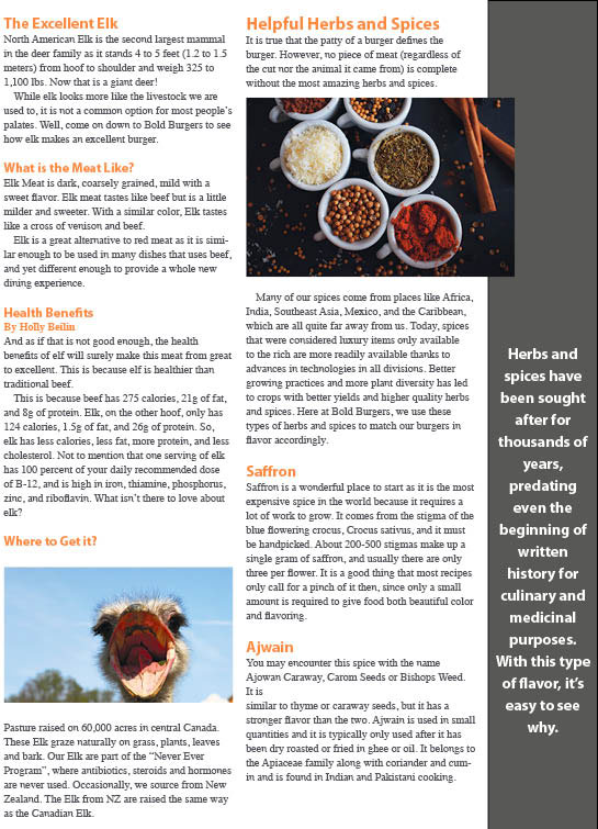 The third page of a newsletter by Bold burgers. The page talks about ostrich meat and seasonings.